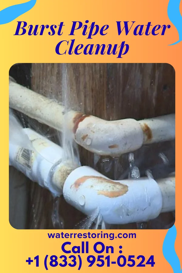 Burst Pipe Water Cleanup in Vandergrift, PA