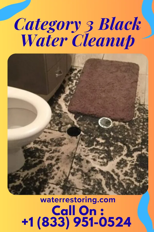 Category 3 Black Water Cleanup in Vandergrift, PA