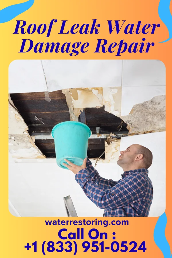 Roof Leak Water Damage Repair in Vandergrift, PA