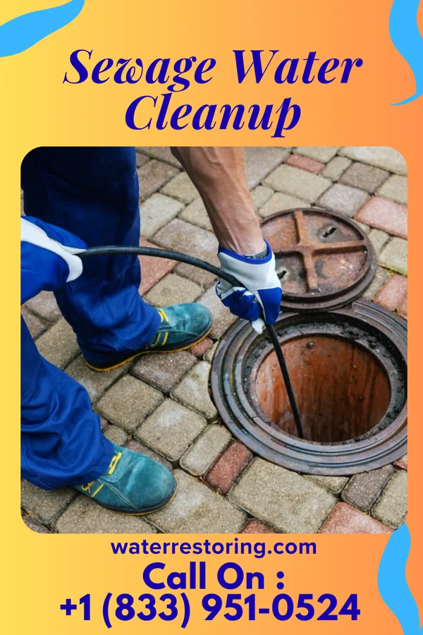 Sewage Water Cleanup in Vandergrift, PA
