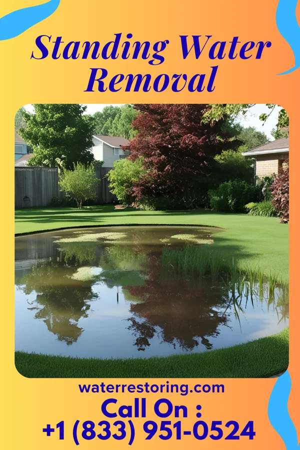 Standing Water Removal in Vandergrift, PA